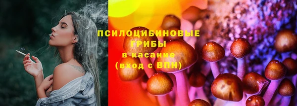 spice Аркадак