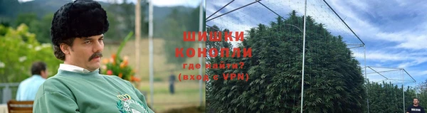 хмурый Арсеньев
