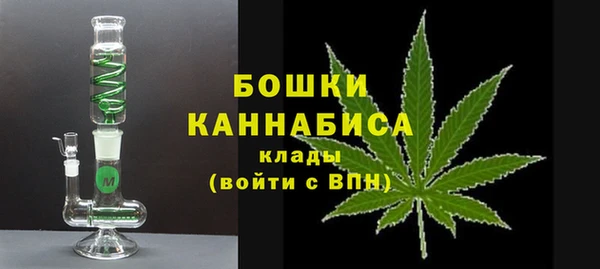 хмурый Арсеньев