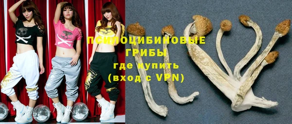 дживик Баксан