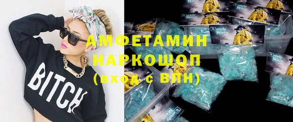 хмурый Арсеньев