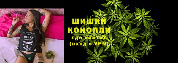 spice Аркадак