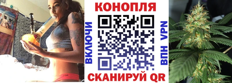 Каннабис конопля Бор